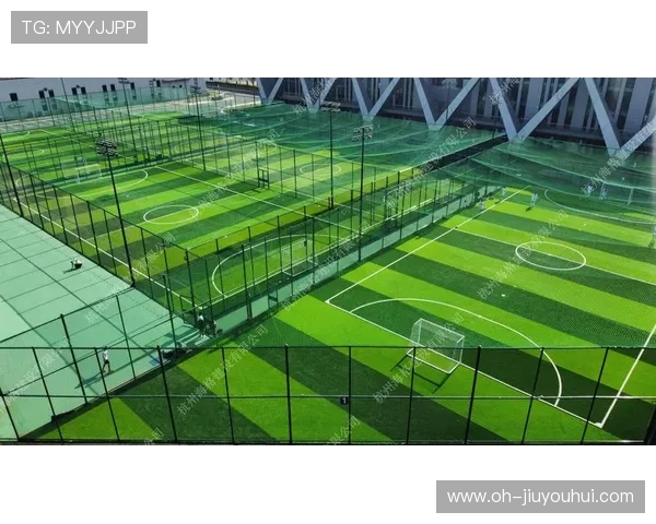 足球场养护项目招标公告及相关要求说明